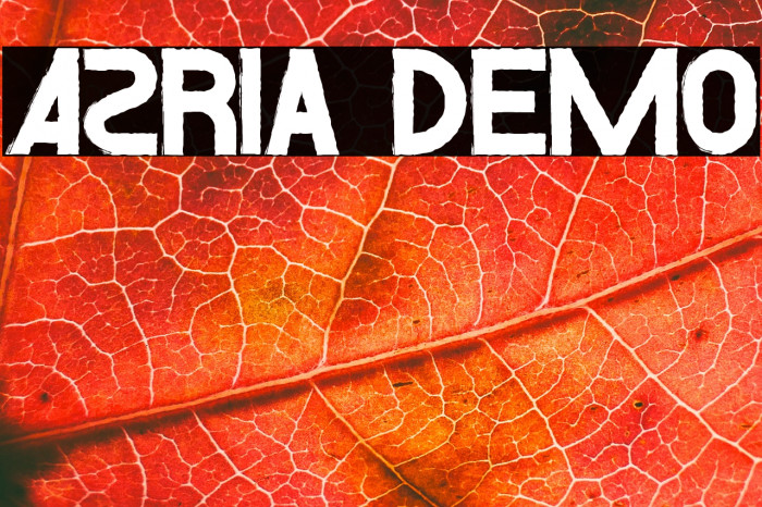 Azria Demo Example 3