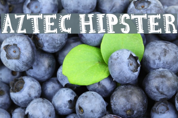 Aztec Hipster Example 2