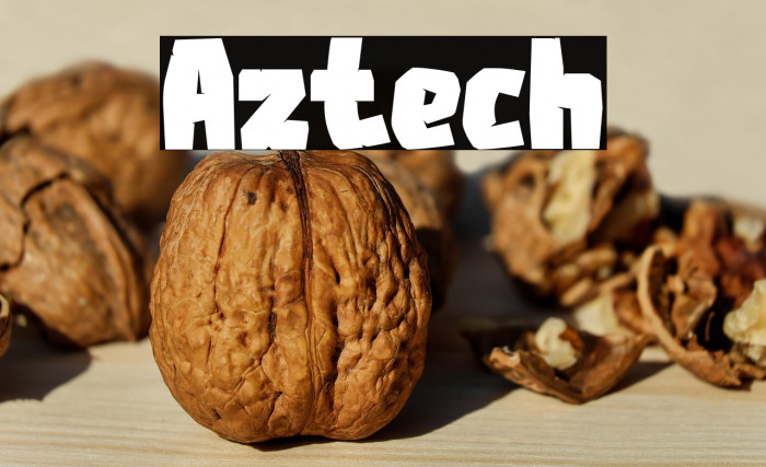 Aztech Example 3