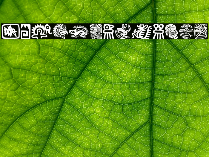 Aztecs Icons Font examples