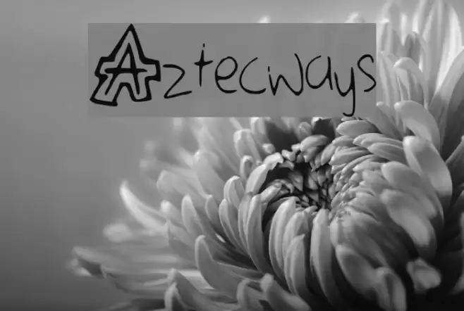 Aztecways Polices examples