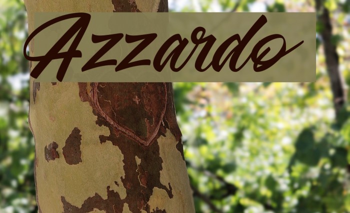 Azzardo Polices examples