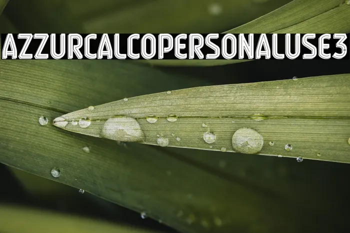 Azzuri Calcio Personal Use 3 Example 1