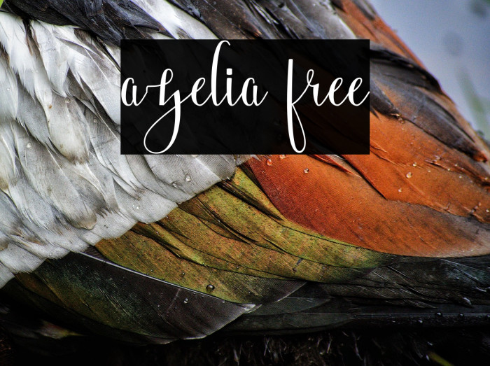 azelia free Example 1