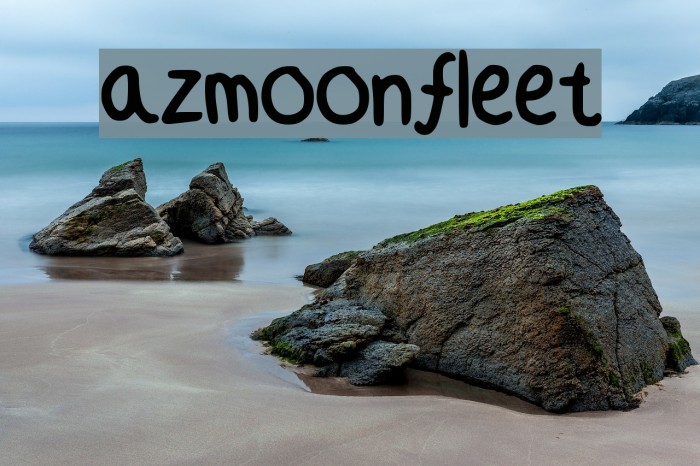 azmoonfleet Example 2