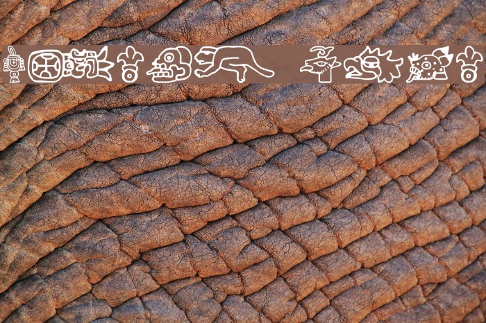 aztec Font examples