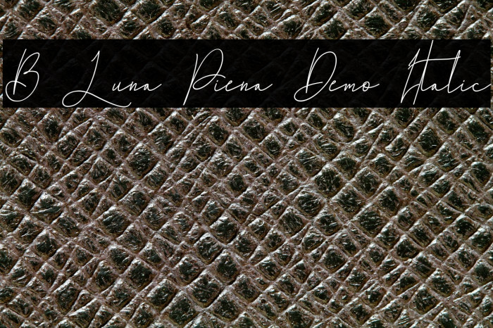 B Luna Piena Demo Italic Example 3
