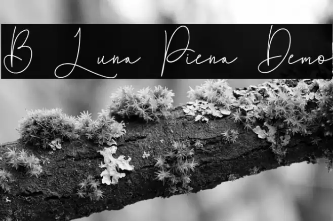 B Luna Piena Demo Font examples