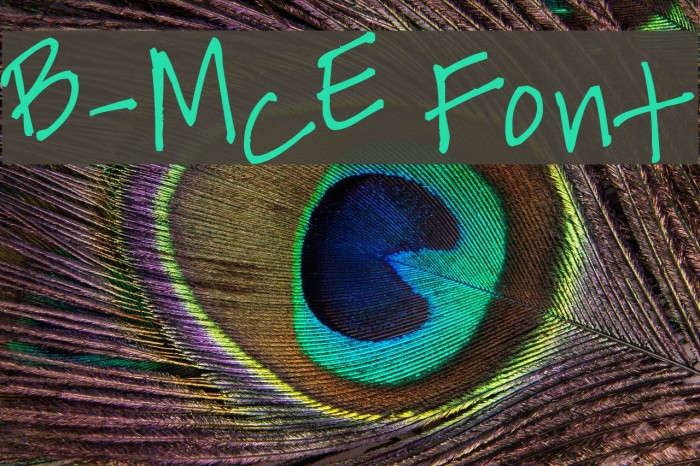 B-McE फ़ॉन्ट examples