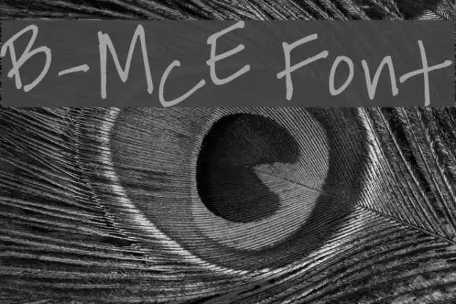 B-McE Font examples