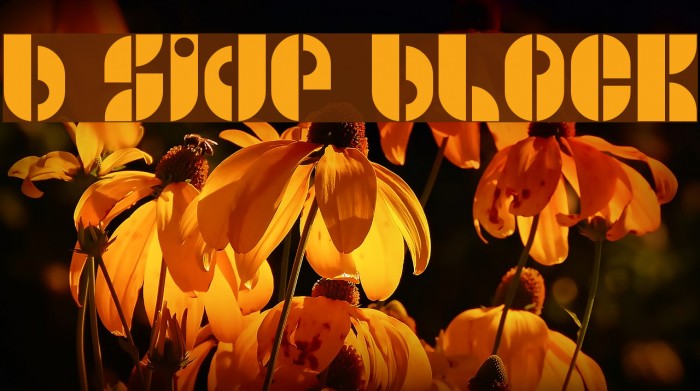 B SIDE BLOCK Font examples