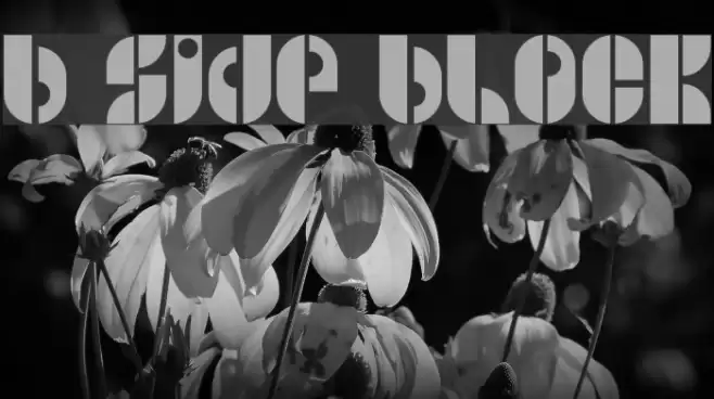 B SIDE BLOCK फ़ॉन्ट examples