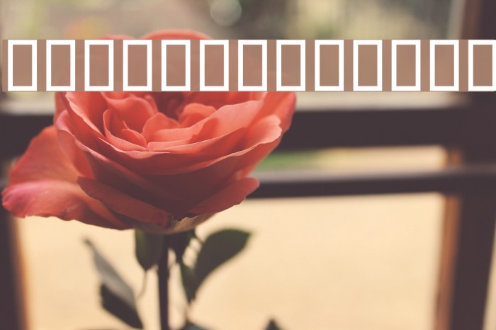 B Sina Bold Font examples