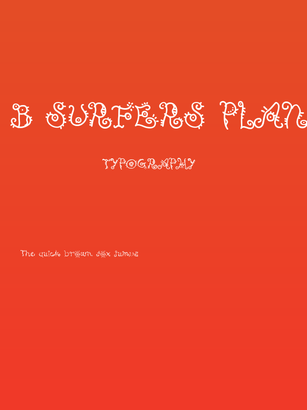 B Surfers Plane Poster