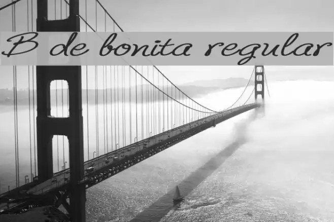 B de bonita regular Font examples