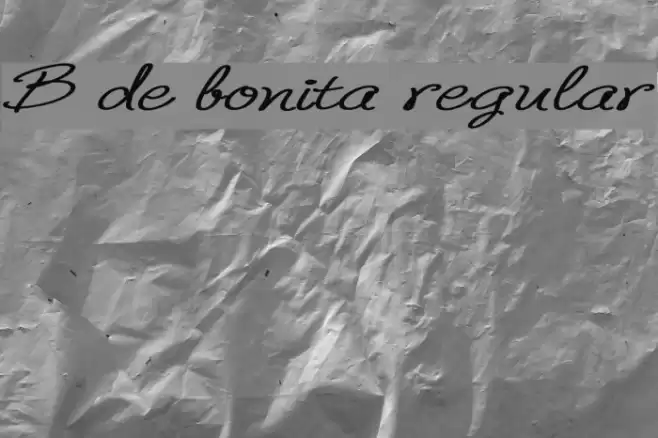 B de bonita regular Font examples