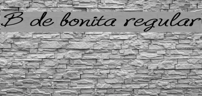 B de bonita regular Font examples