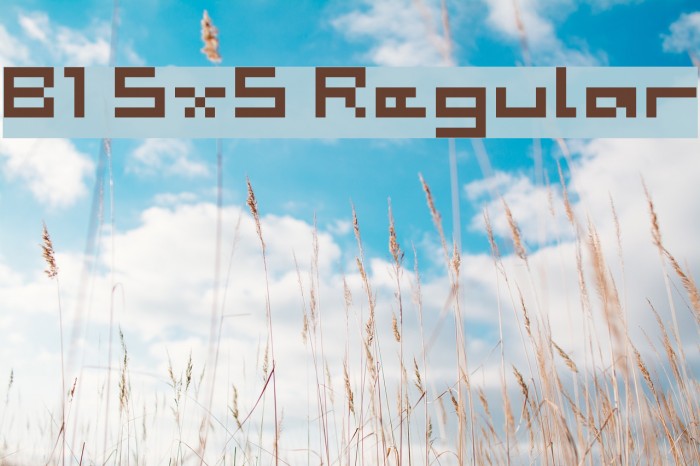 B1 5x5 Regular Font examples