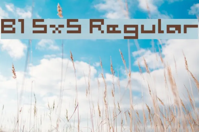 B1 5x5 Regular Example 3