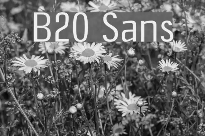 B20 Sans Font examples