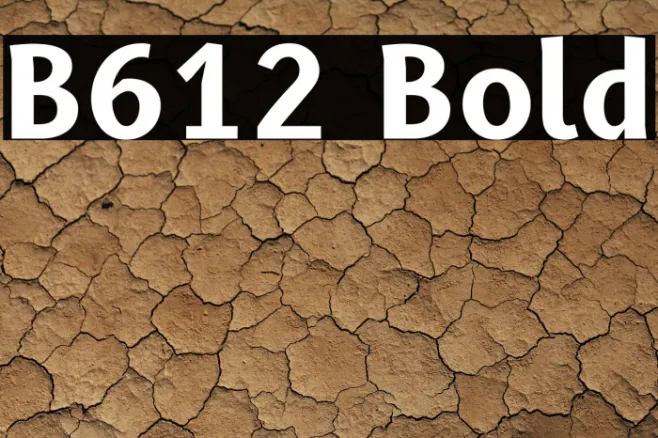 B612 Bold Example 3