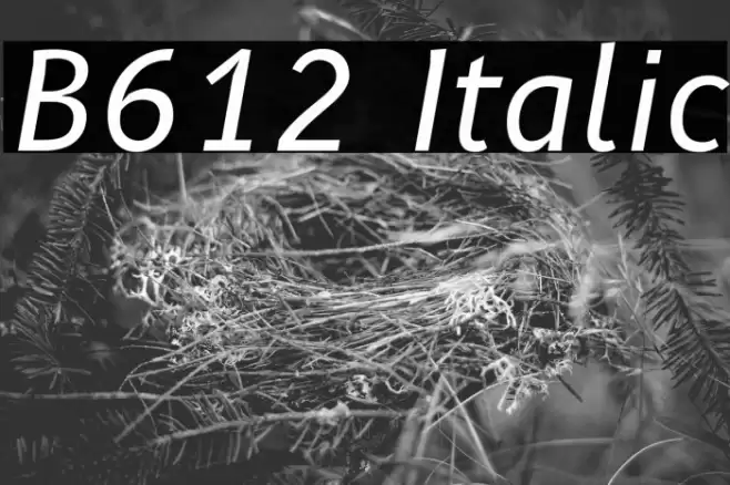 B612 Italic Font examples