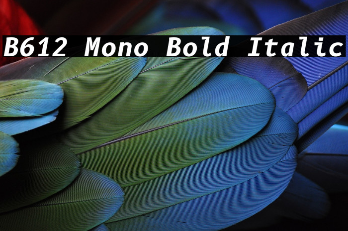 B612 Mono Bold Italic Font examples