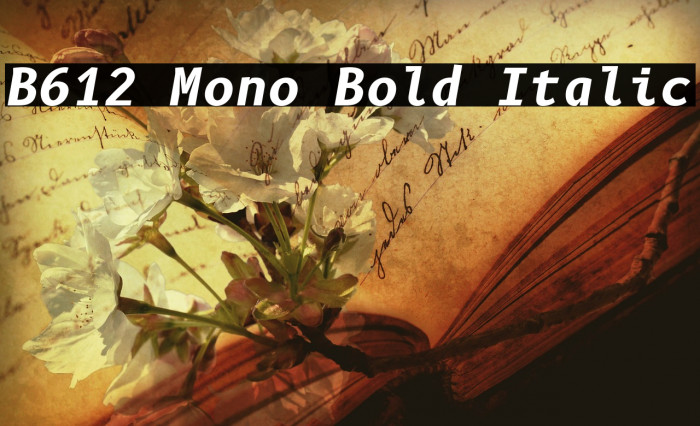 B612 Mono Bold Italic Font examples