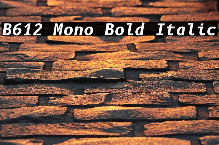 B612 Mono Bold Italic Font examples