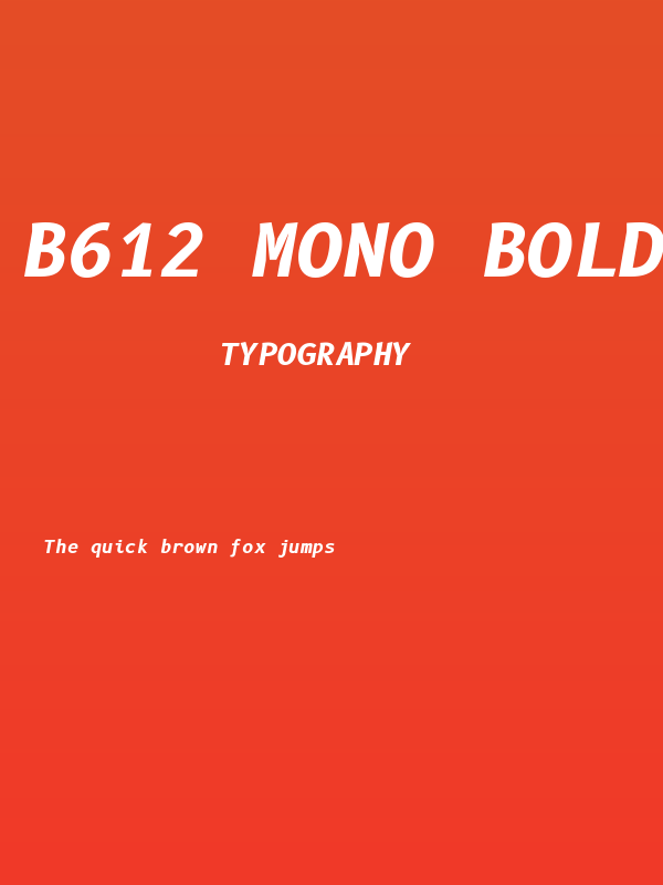 B612 Mono Bold Italic Poster