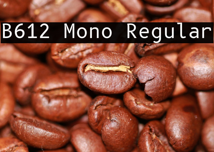 B612 Mono Regular Font examples