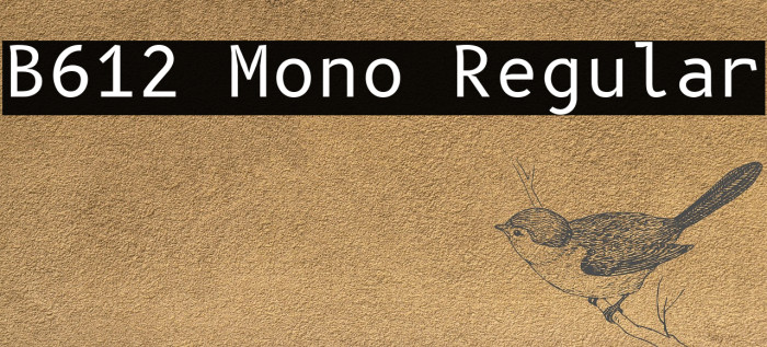 B612 Mono Regular Font examples