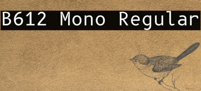 B612 Mono Regular Example 3