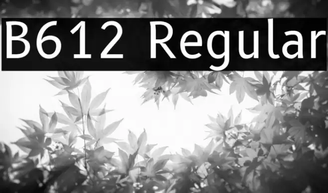 B612 Regular Polices examples