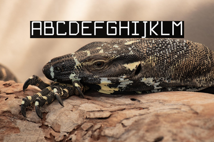 Básica-Unicode Regular Example 3