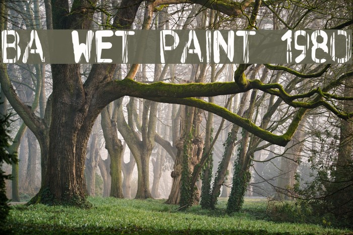 BA Wet Paint 1980 Font examples