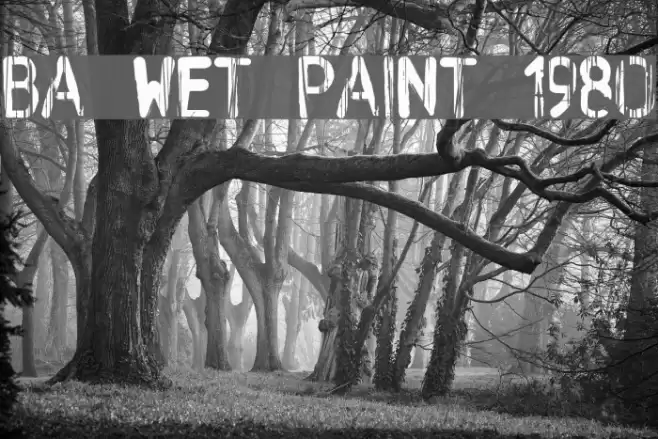 BA Wet Paint 1980 خط examples