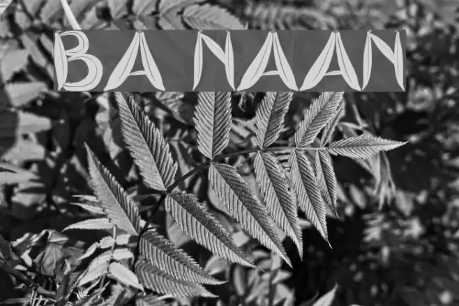 BA naan خط examples