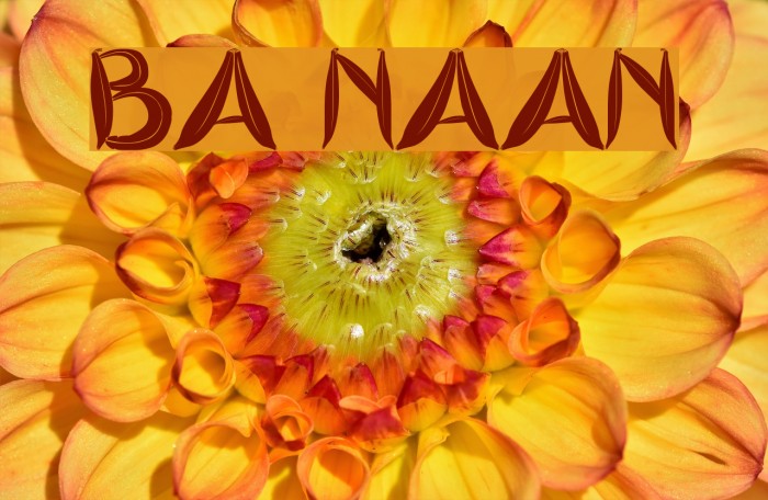 BA naan لخطوط تنزيل examples