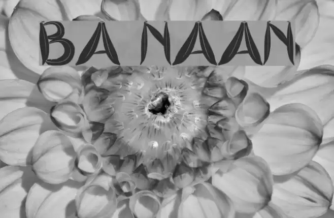 BA naan خط examples