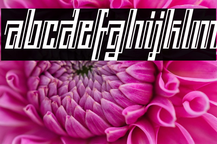 BACK TO ANCIENT TIME Italic Example 1