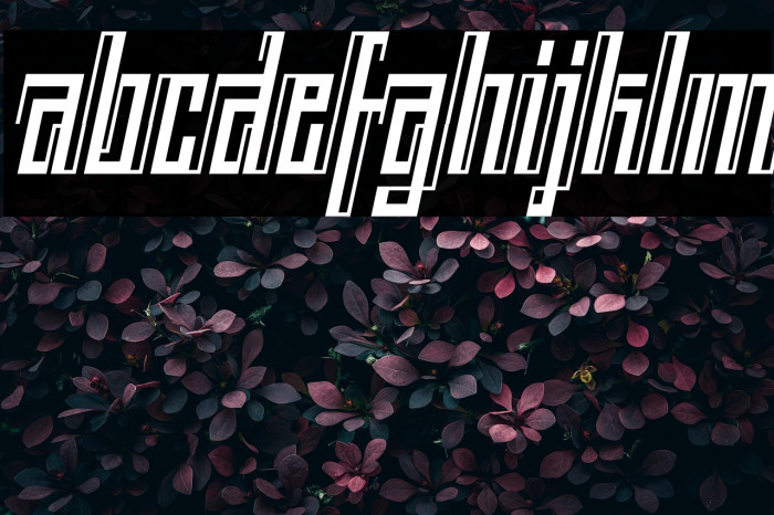 BACK TO ANCIENT TIME Italic Example 2