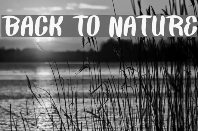 BACK TO NATURE Font examples