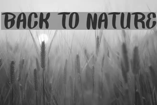 BACK TO NATURE Font examples