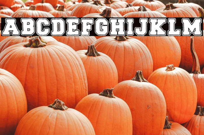 BACK TO SCHOOL Regular Example 3