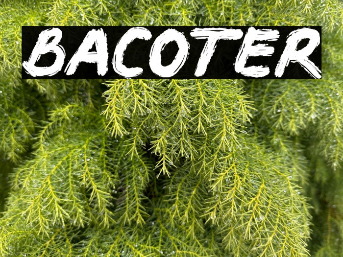 BACOTER Example 1