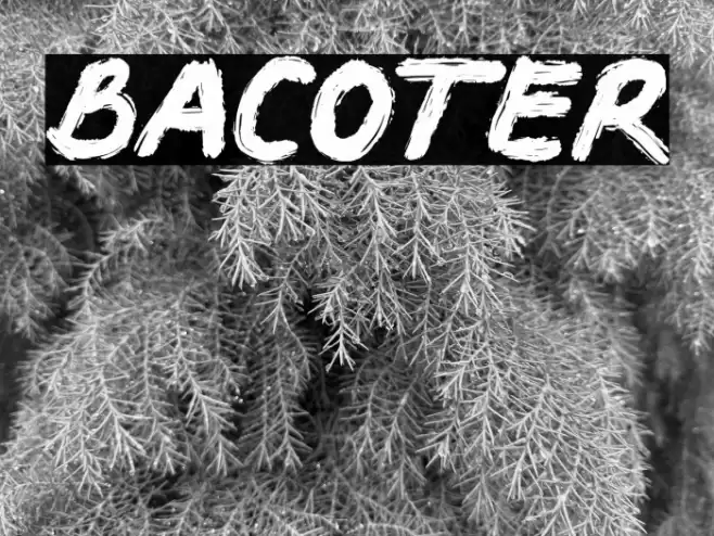 BACOTER Font examples