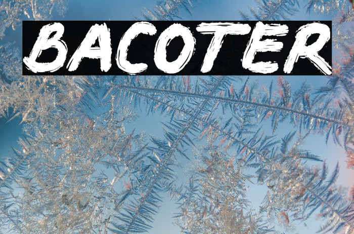 BACOTER Example 2