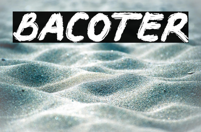 BACOTER Example 3