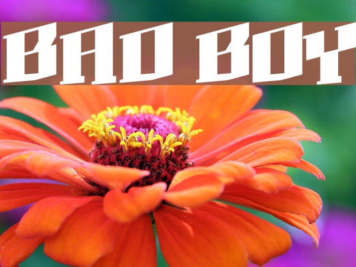 BAD BOY Example 2